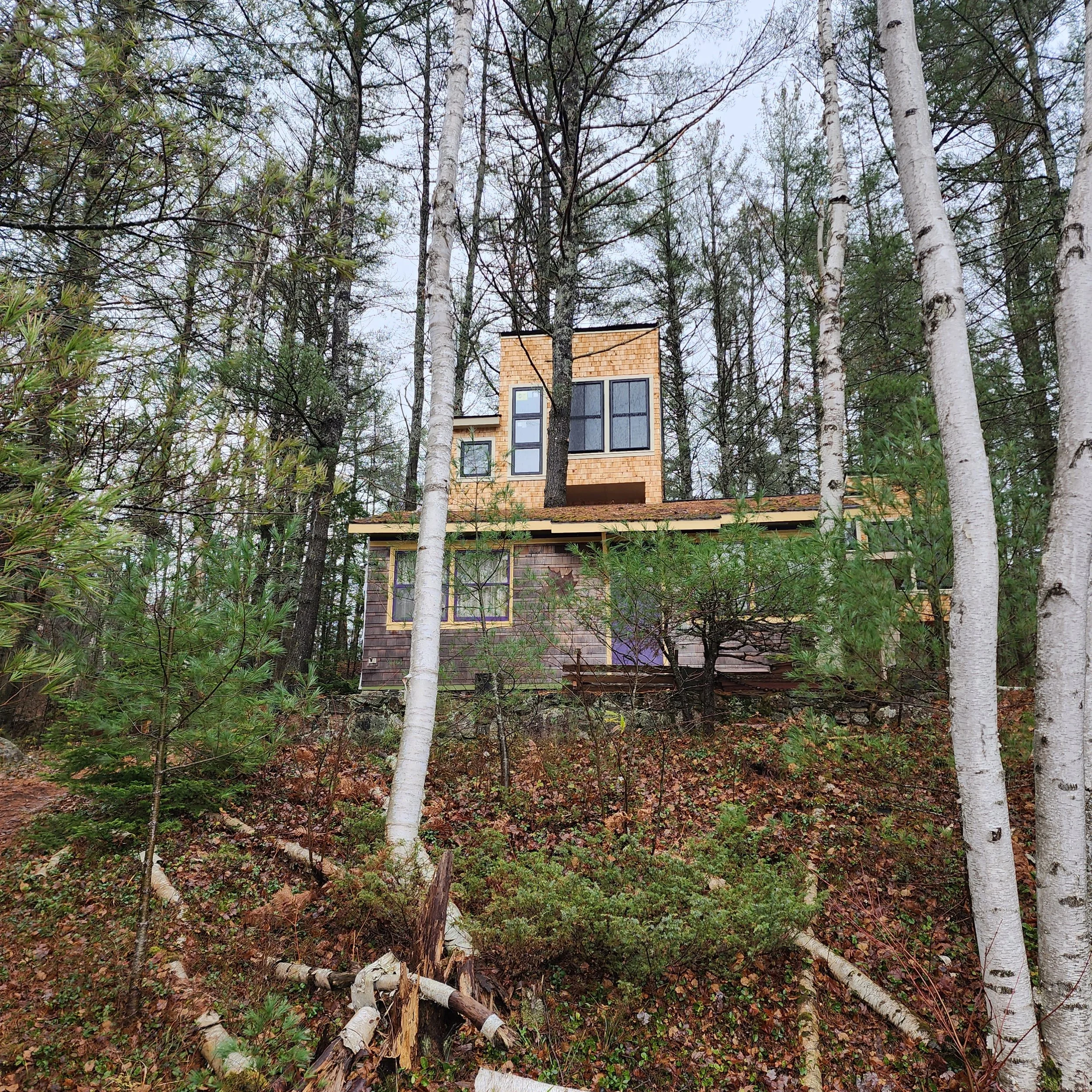 ground-up-constructing-muskoka-cottage-build-phase-1-cedar-shingle-rear-exterior.jpg