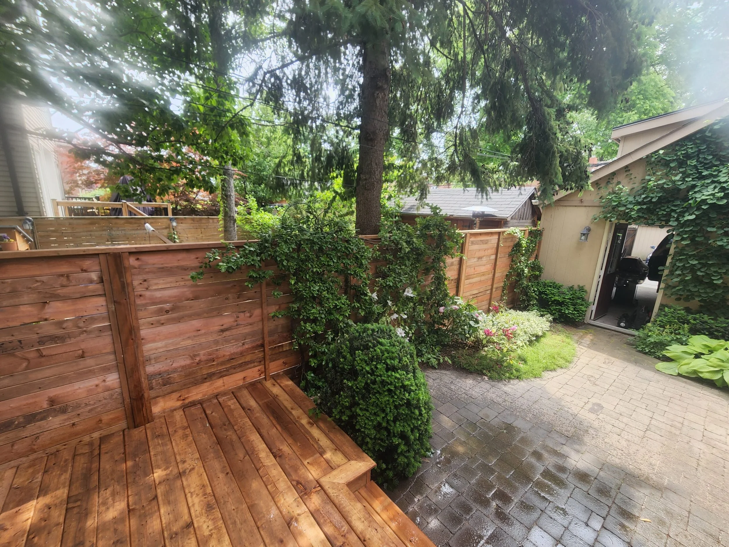 Backyard Design + Build.
