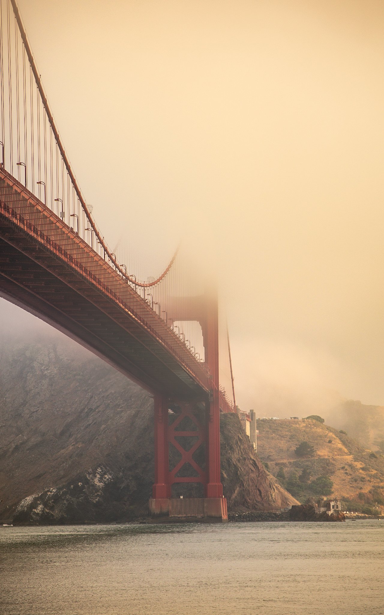 Golden Fog1.JPG