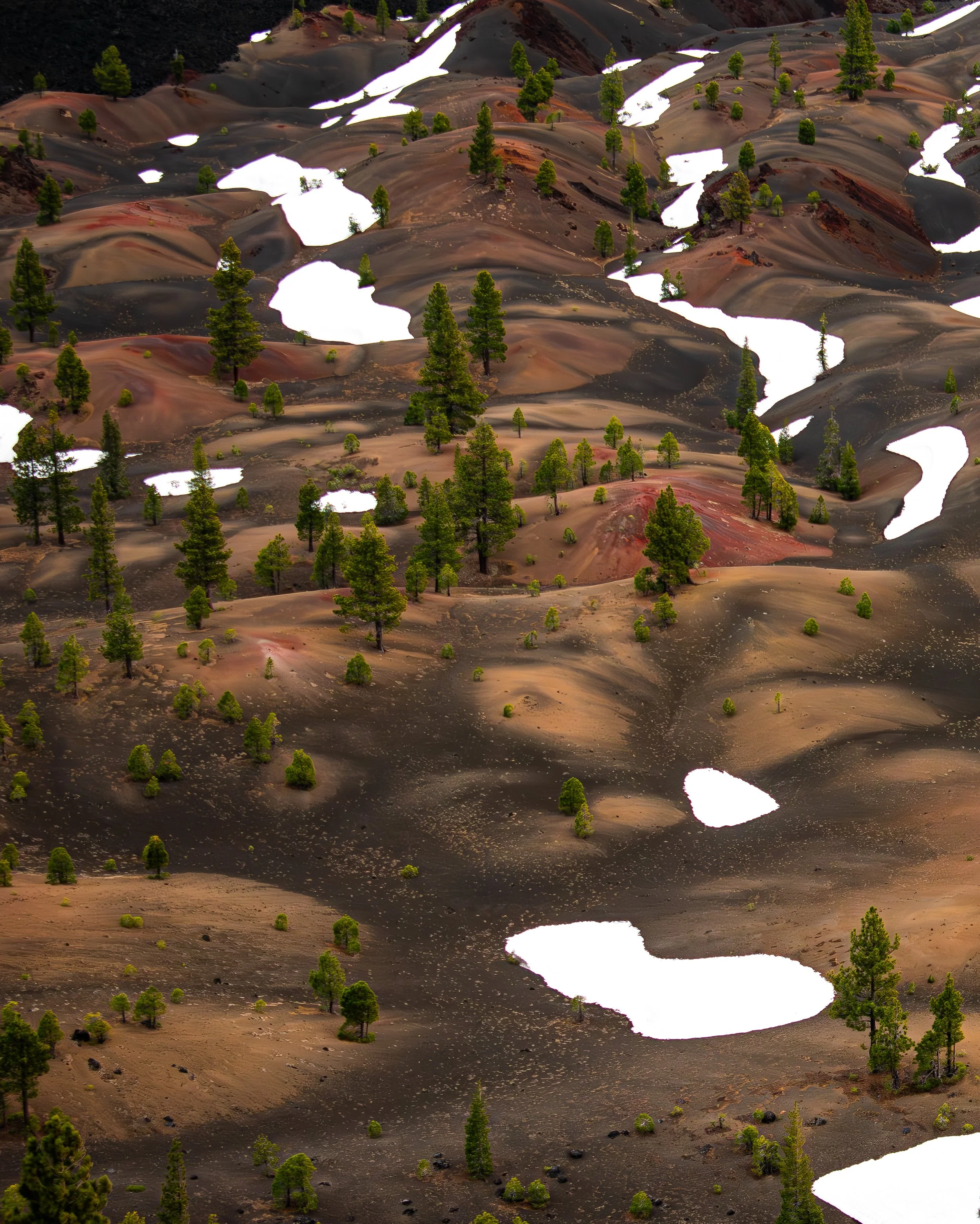 A landscape of colorful, volcanic-like hills with patches of green trees and snow, creating a surreal, otherworldly terrain.