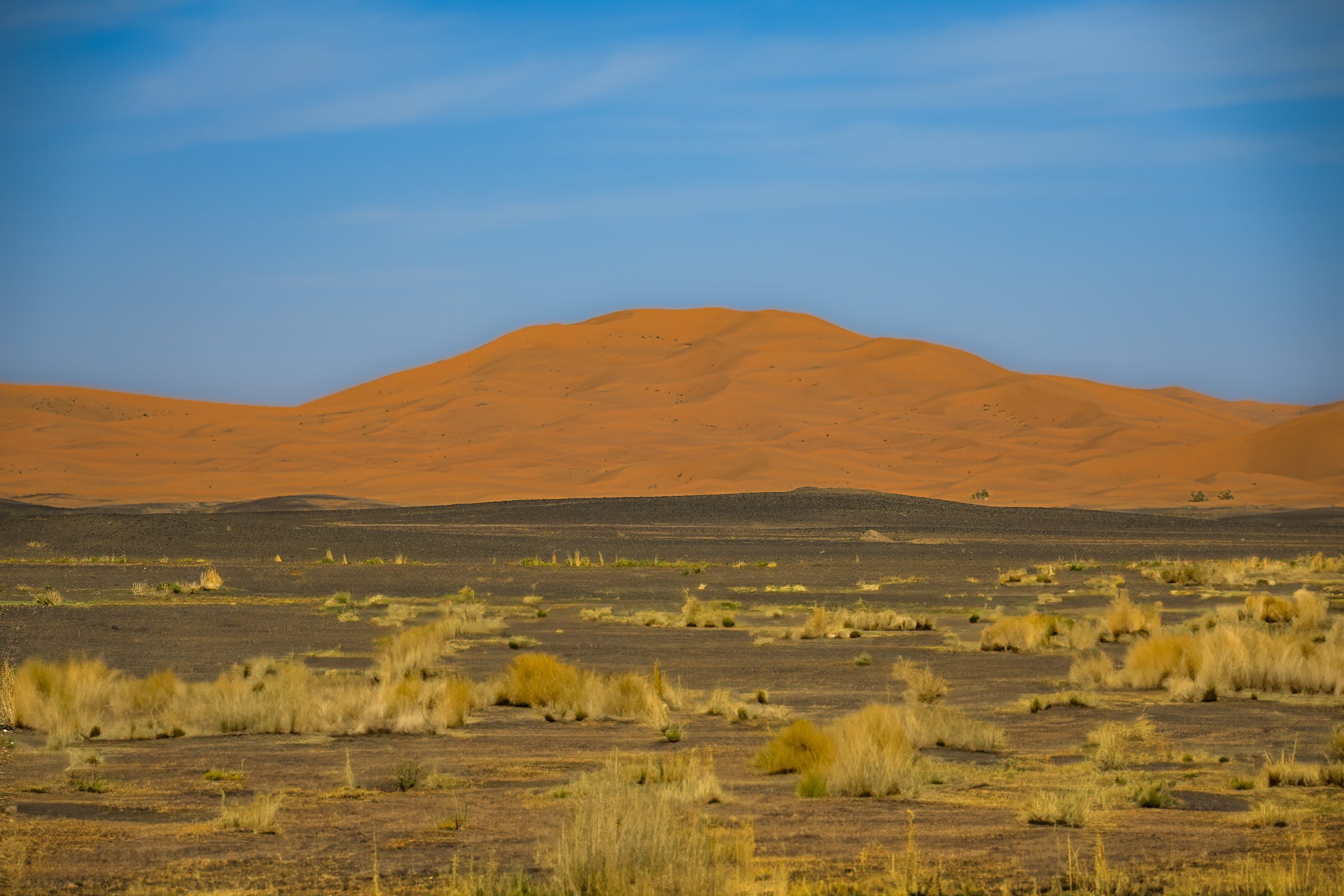 10 Days in Morocco: Dust, Tea, Blue Walls, and a Lot of Driving