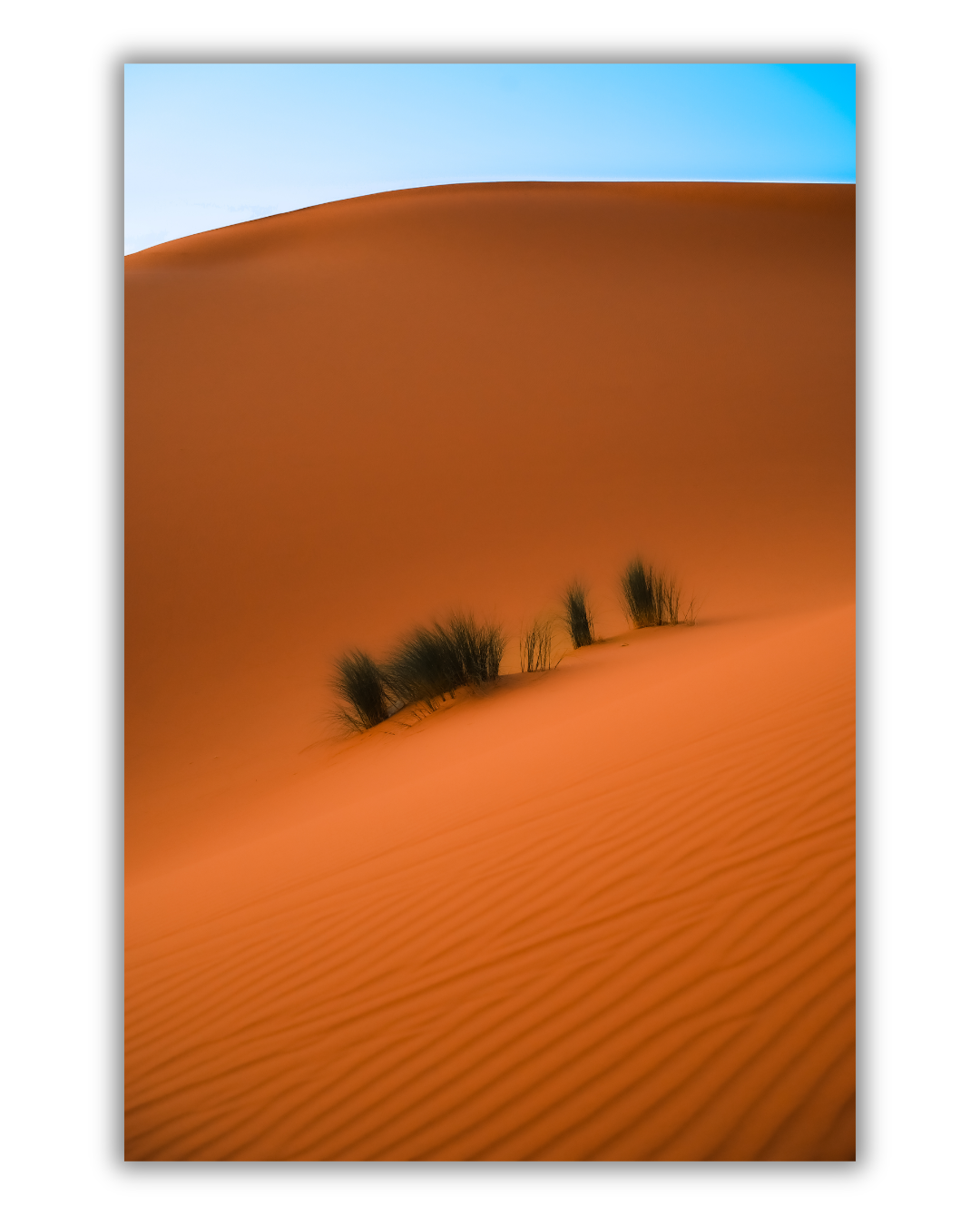 Diseño sin título.png