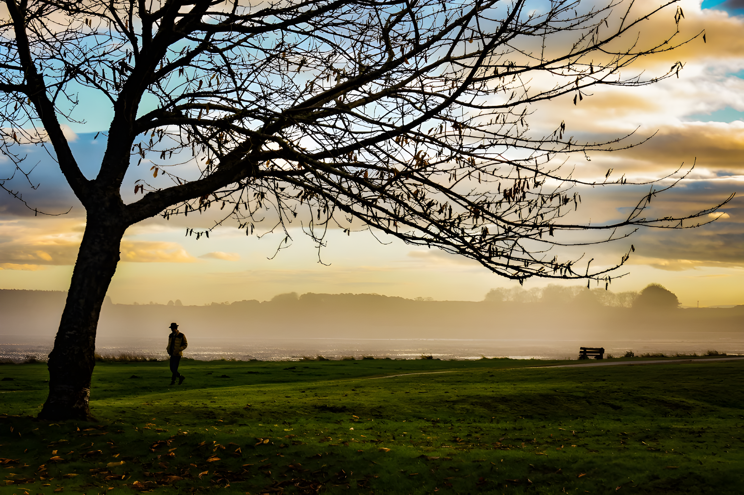 A person standing in a park near water with a tree in the foreground, cloudy sky, and mist over the water at sunset.