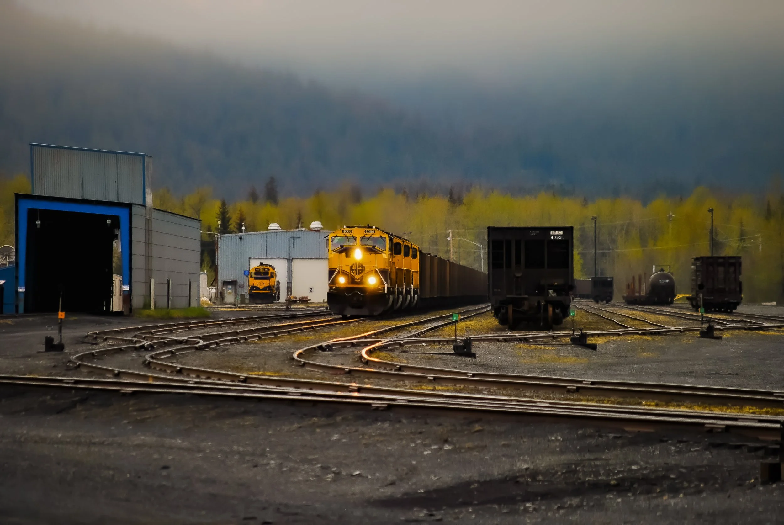 A yellow train moving towards the camera on railway tracks in a train yard, surrounded by freight cars and industrial buildings, with a background of trees and a cloudy sky.