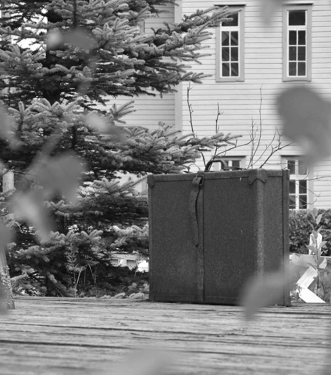 A black and white photo of a cardboard moving box on a wooden deck with a pine tree and house with windows in the background.