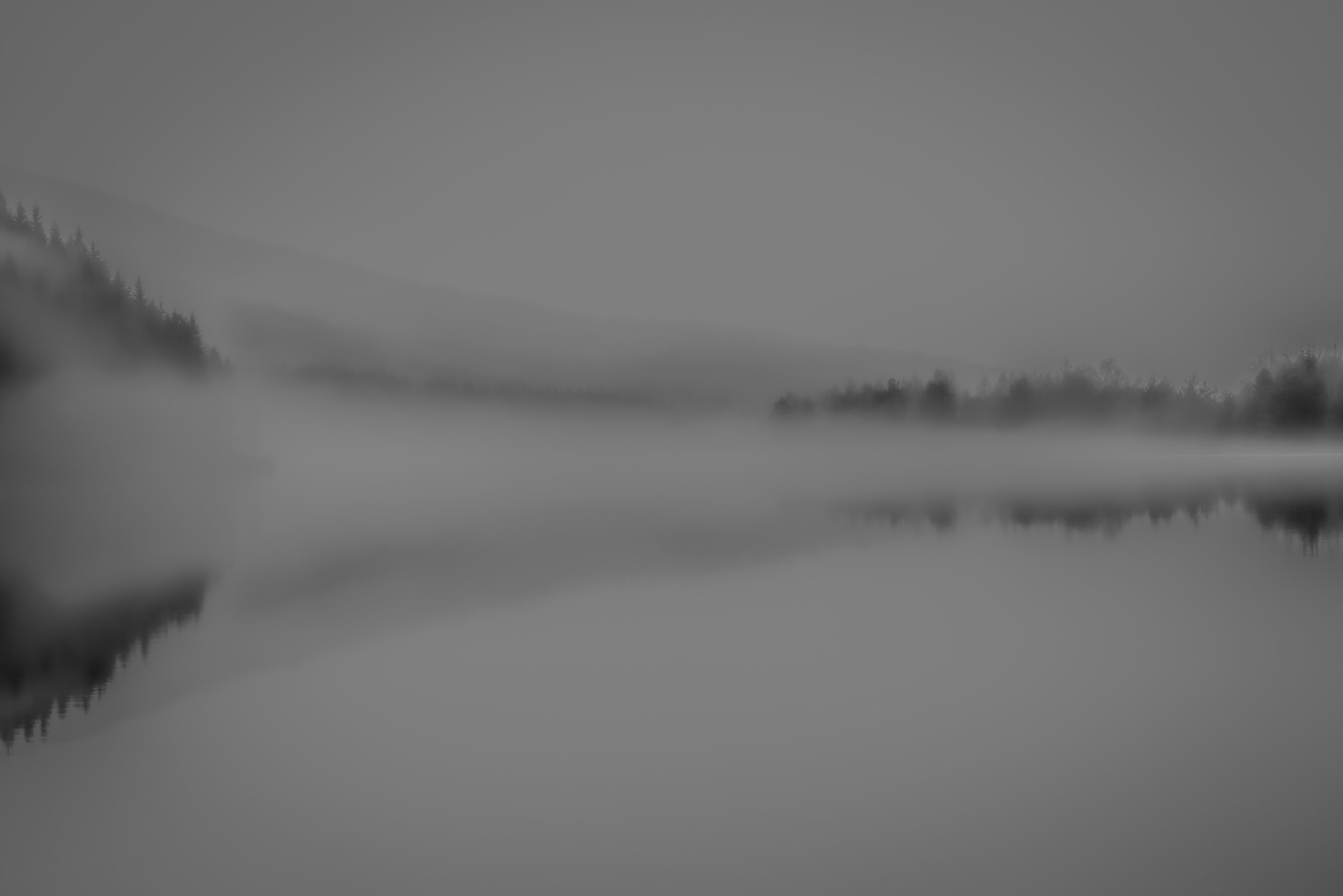 Silent Viel.jpg