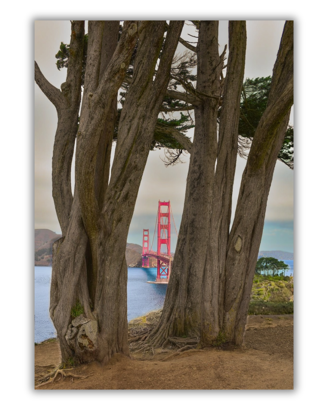 Golden Trees 2.png