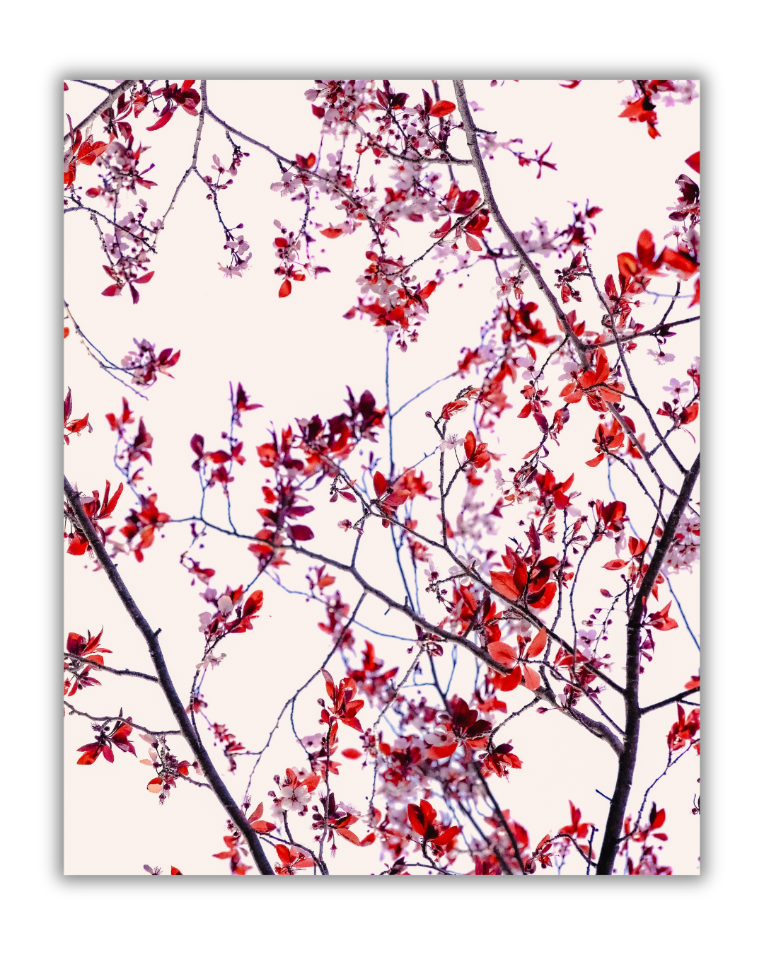 Diseño sin título (2).png