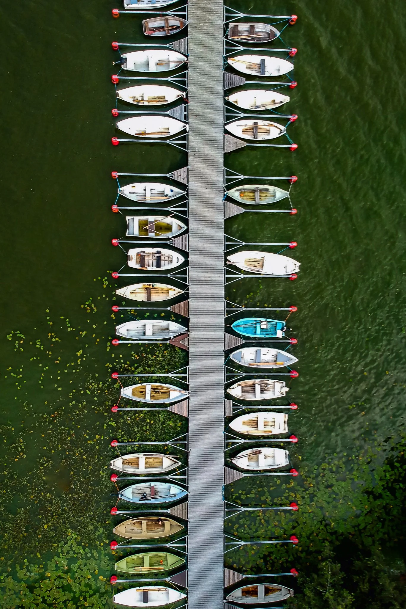 Aerial view of a wooden dock with boats tied along both sides on green water.