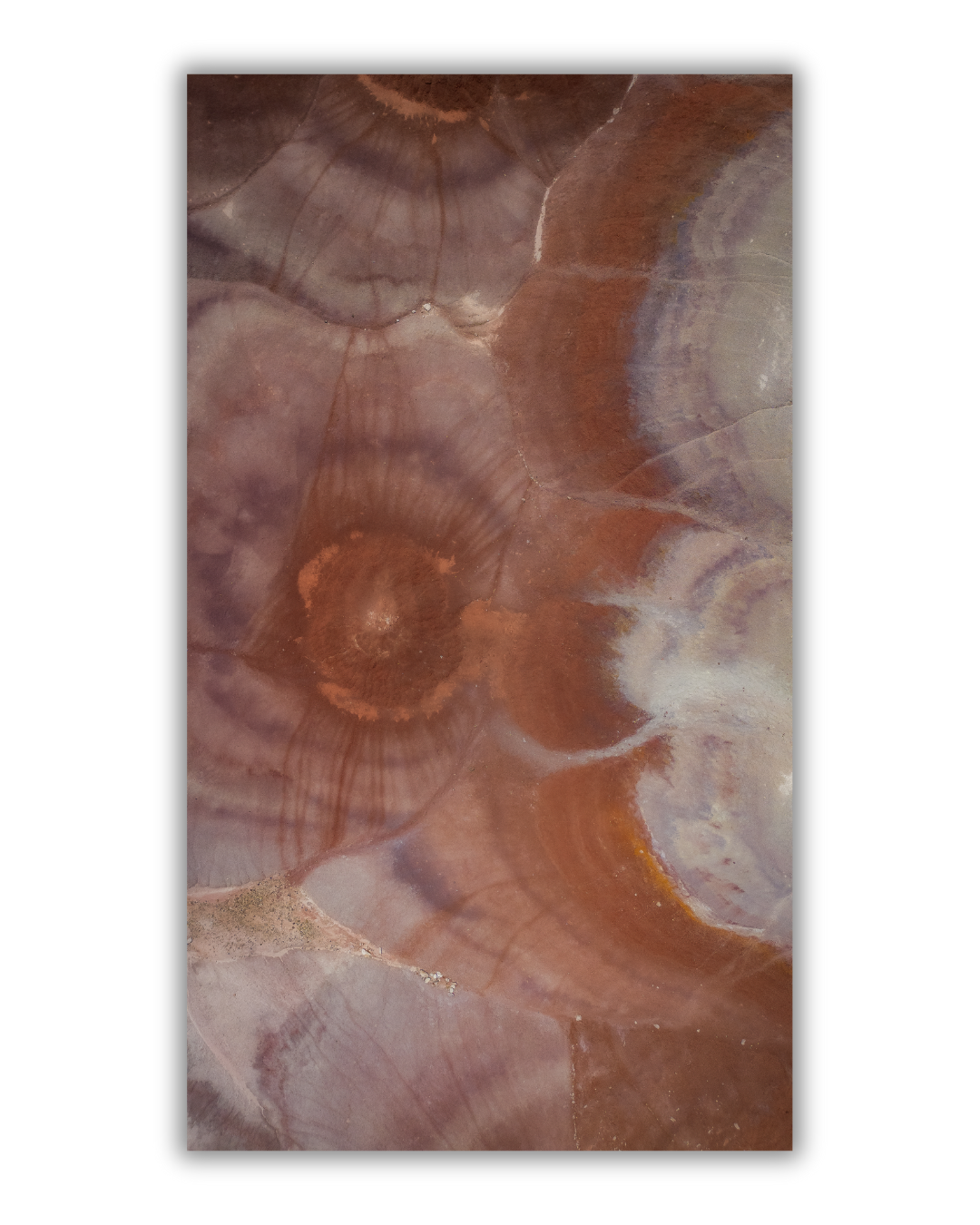 Sediment5.2.png