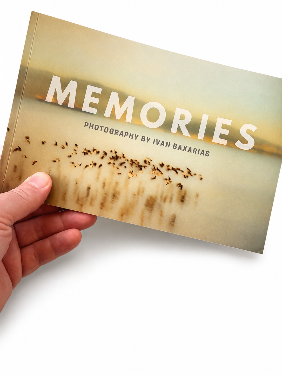 Memories8.png (Copy)