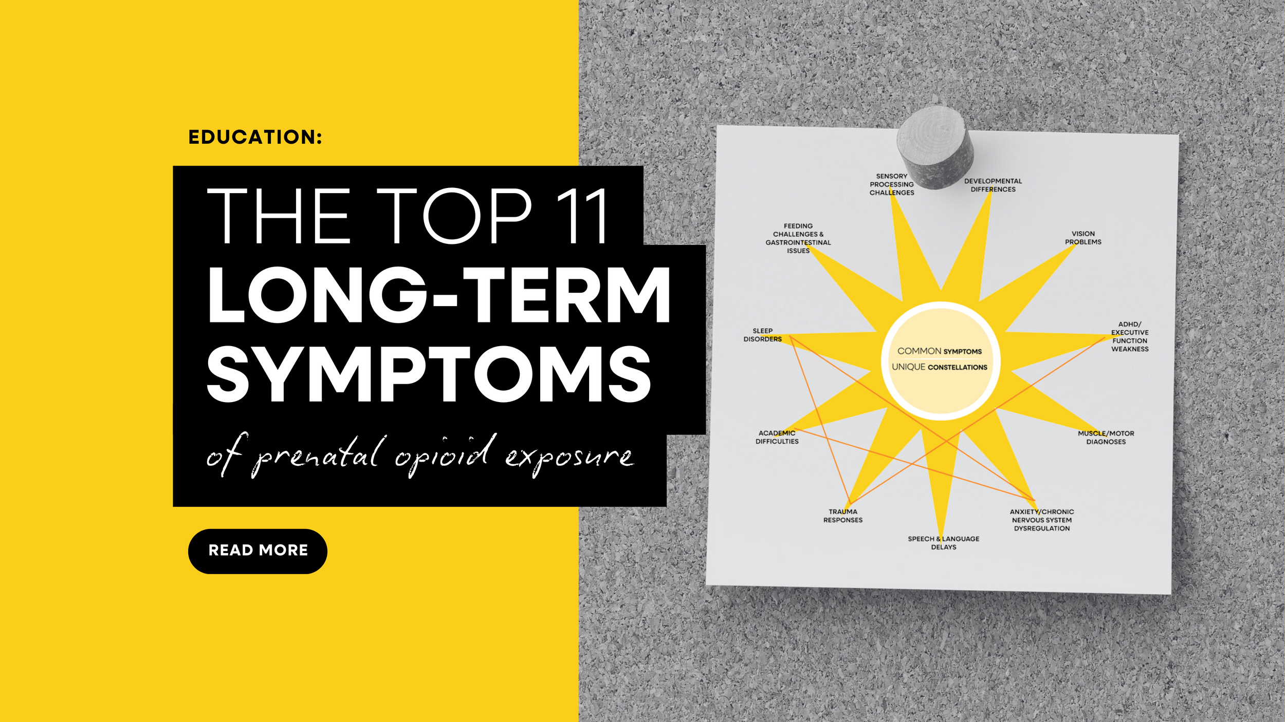 Website Header Banners (3).png