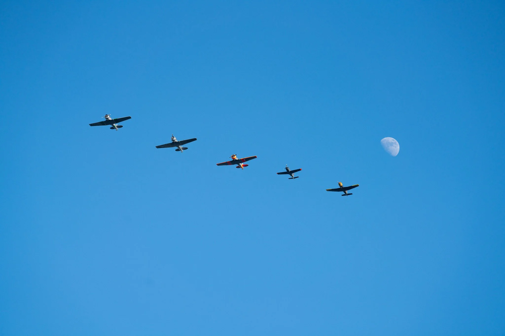 Tulsa Warbirds.jpg