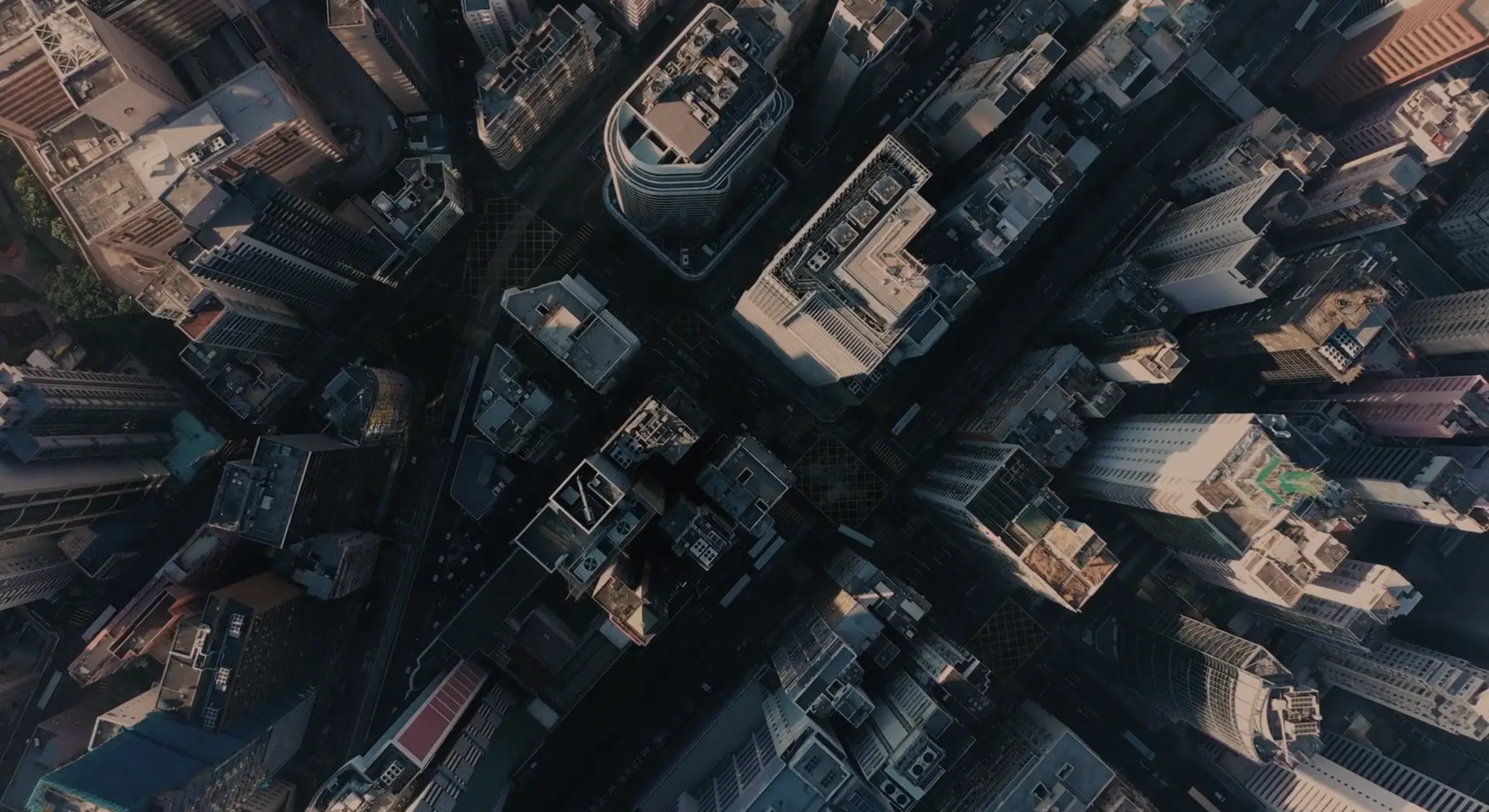 TSG Banner Static Image.png