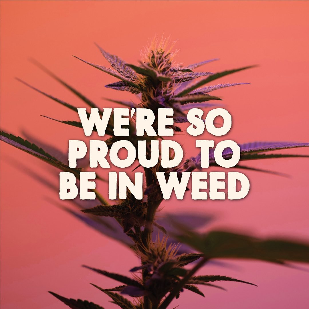 We don&rsquo;t need perfection, we need progress #cannabisindustry