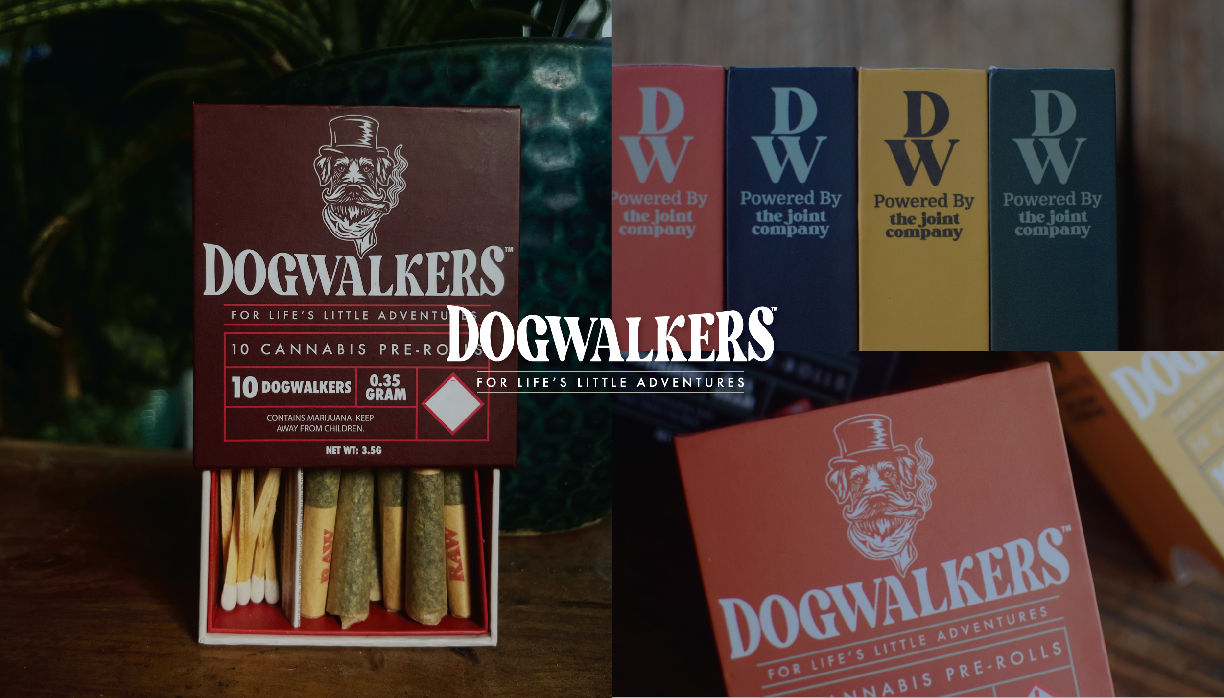 Package of Dogwalkers cannabis pre-rolls with multiple boxes in the background, featuring colorful branding and a close-up of the pre-rolls inside the box.