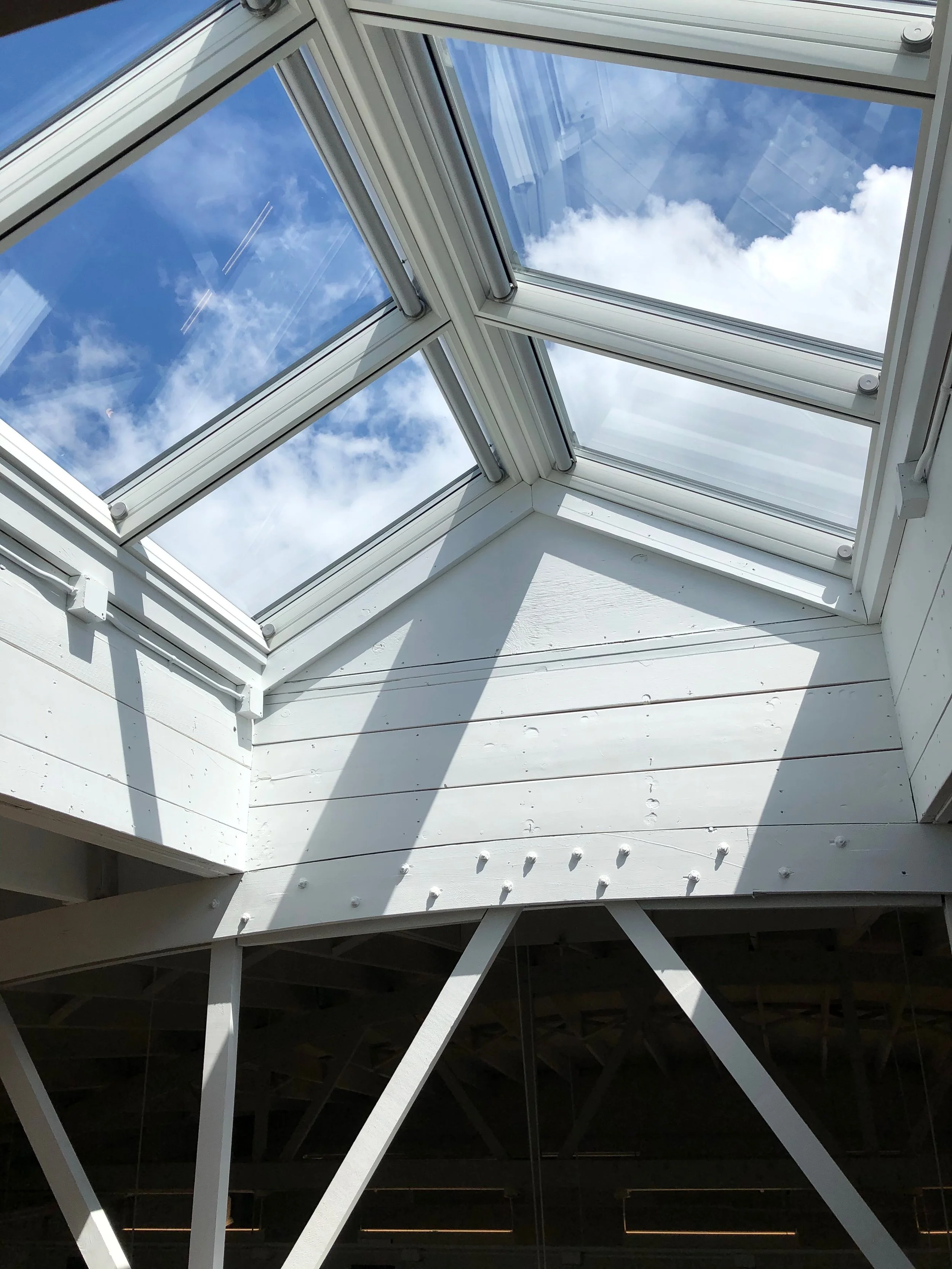 TBP_studio_ - 1.jpeg