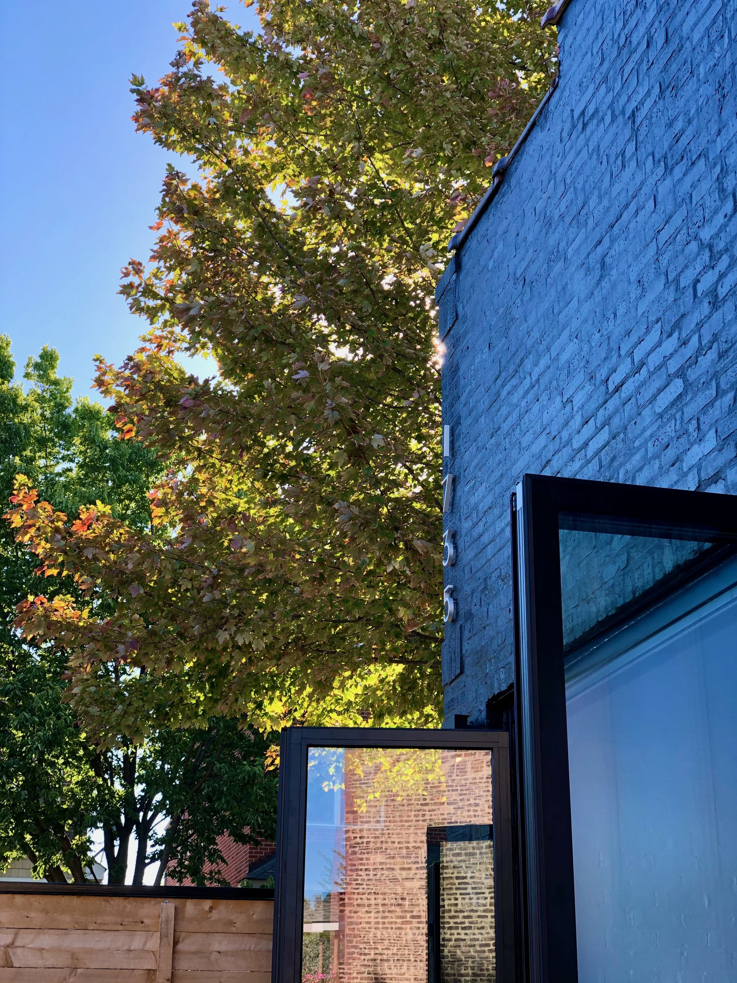 TBP_studio_ - 1 (3).jpeg