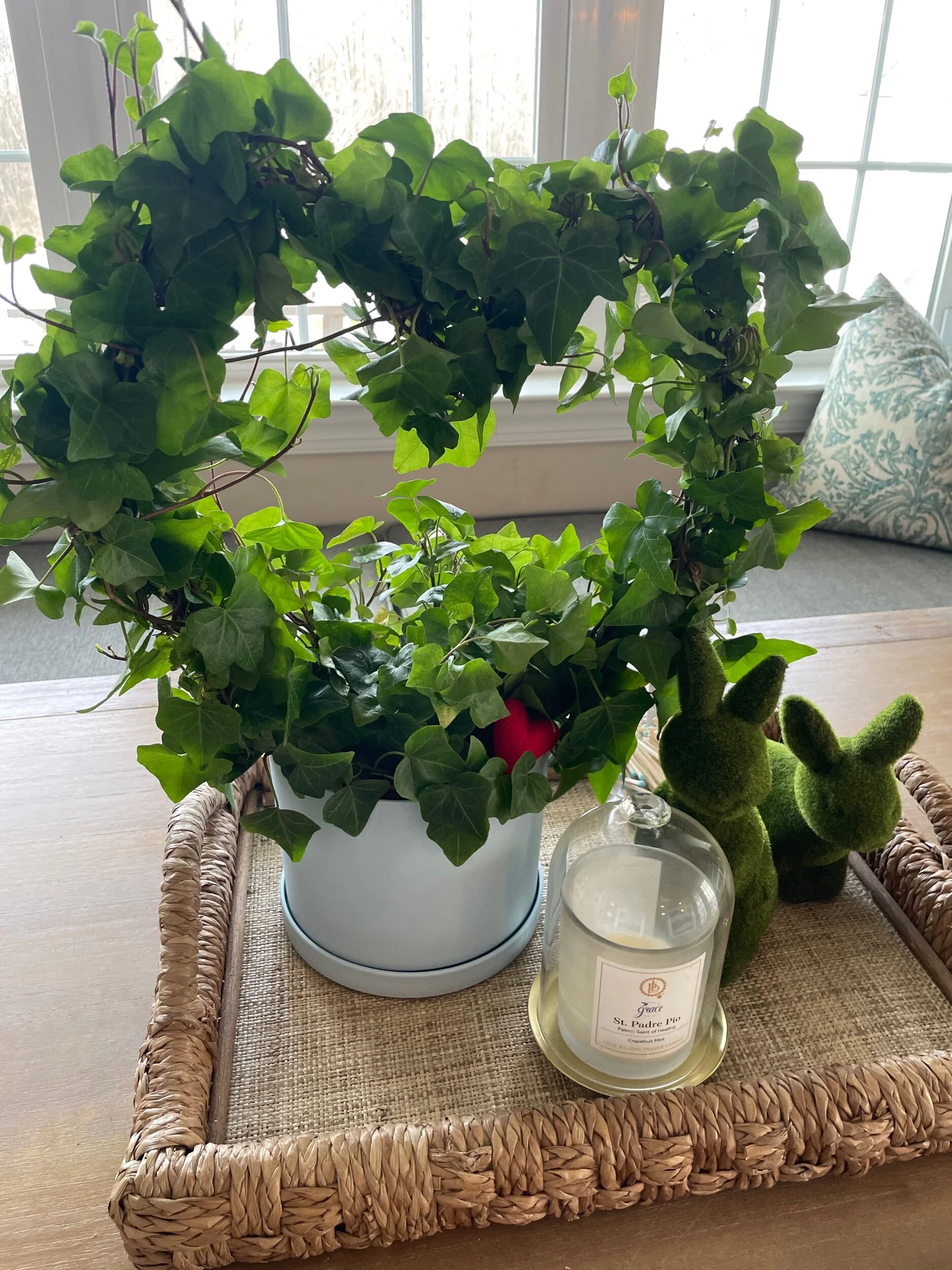 8EC312A1-5F49-4EB3-94F8-3D0100326D50