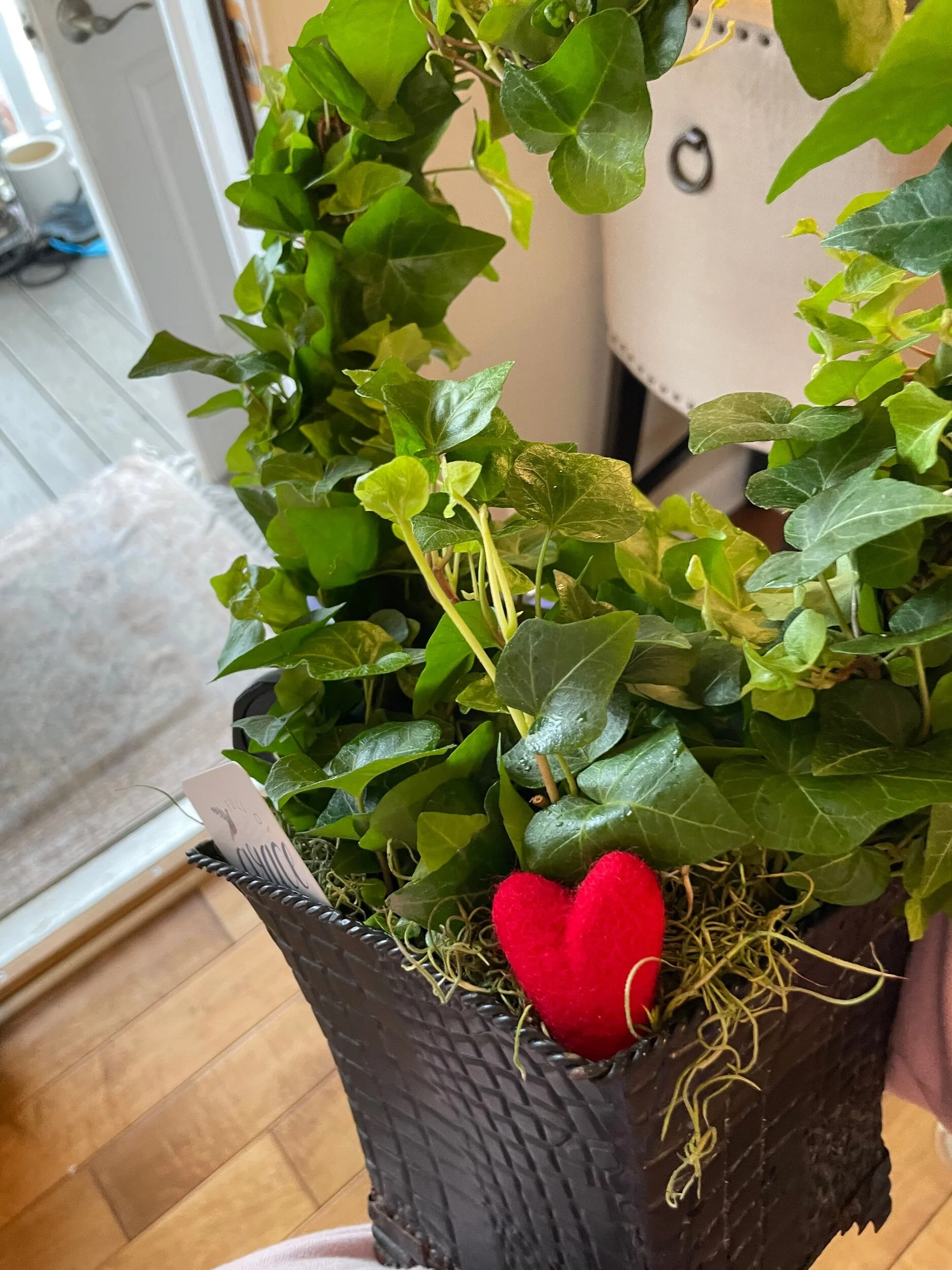 A5218032-03A6-4D33-B9FB-44C4B2FC3CED