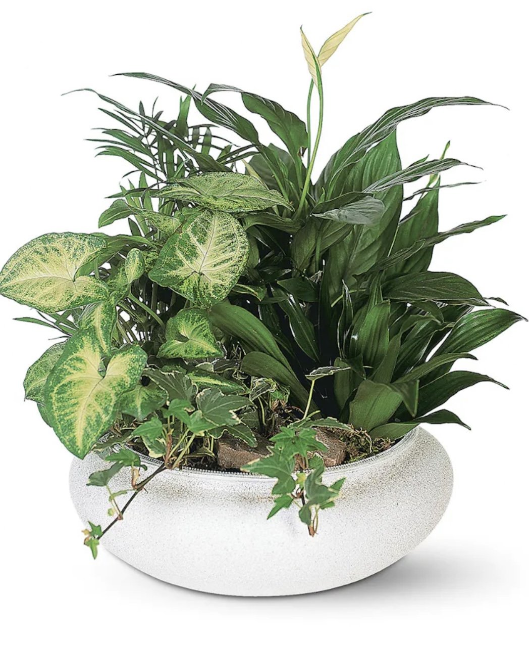 Sympathy Planter