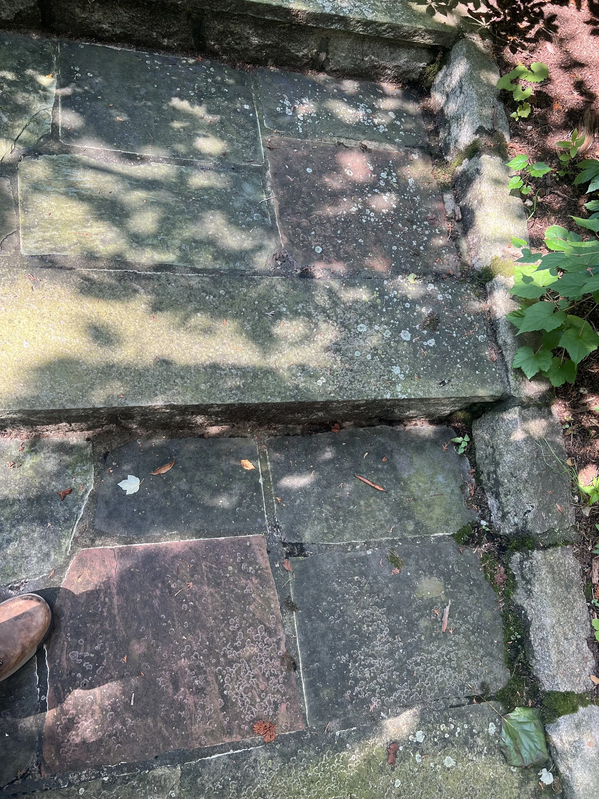 Before Walkway Cleaning