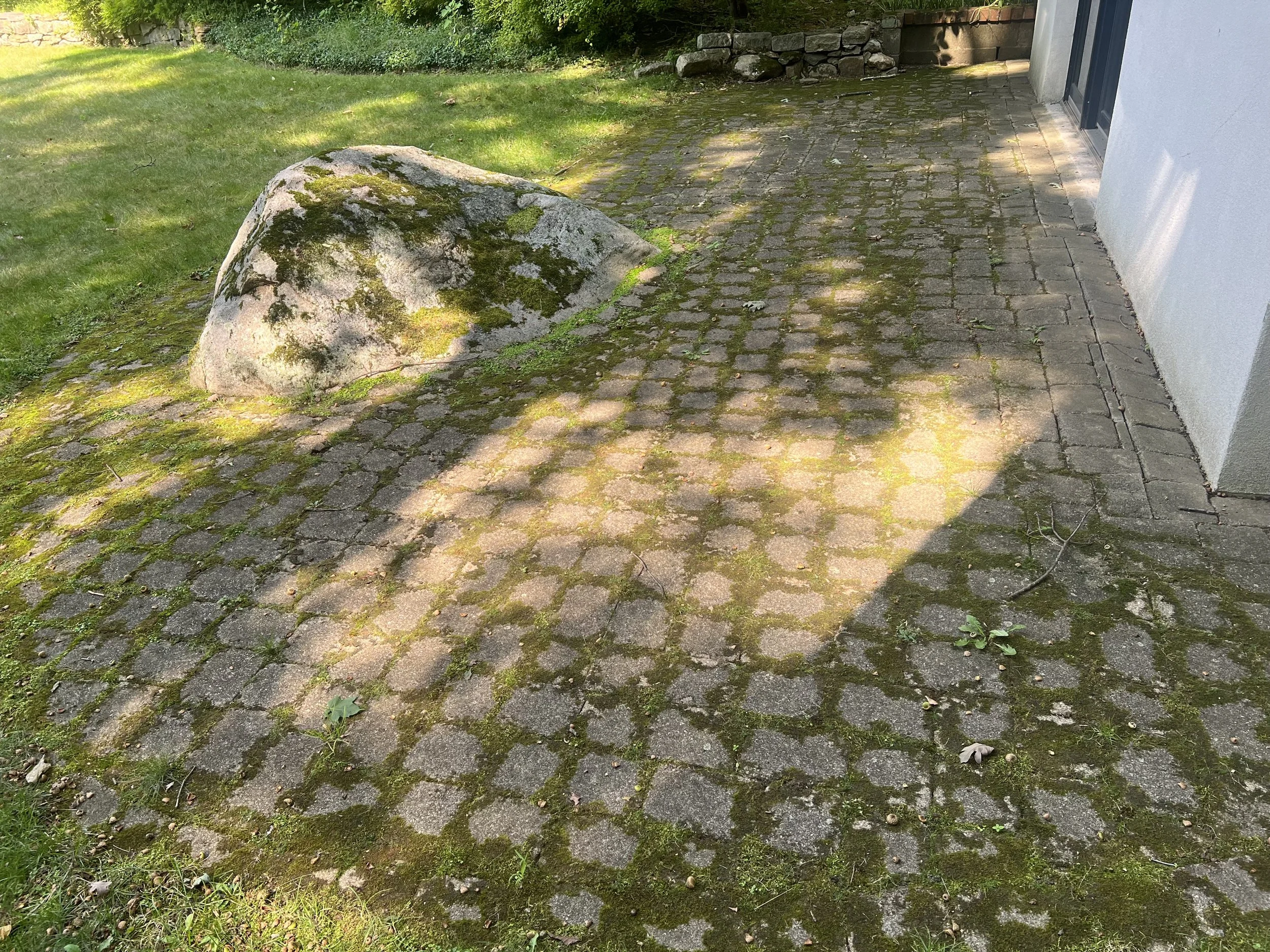 patio cleaning with algae removal