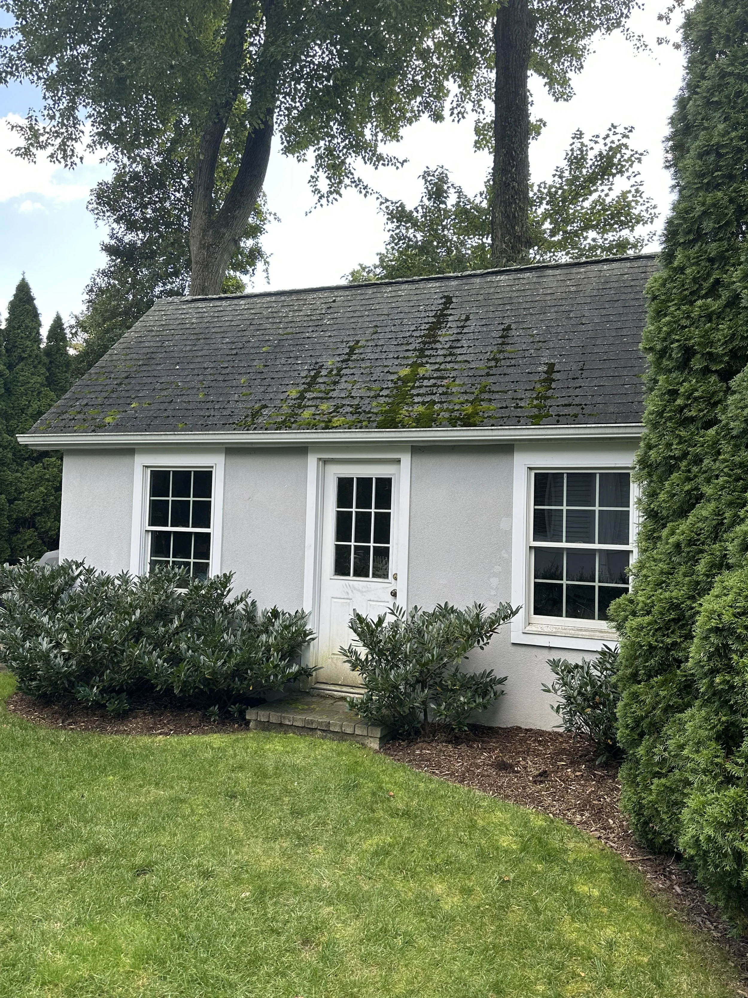 Roof cleaning with mold