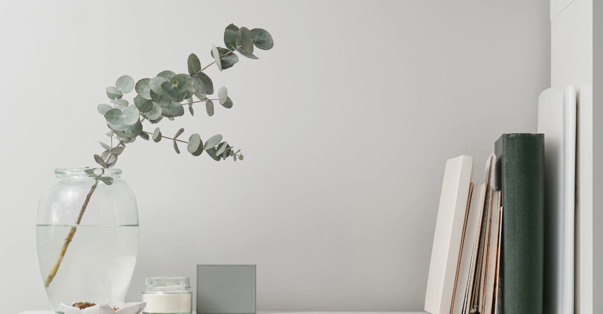 Speech & Language Therapy The Brick House Collective Edmonton