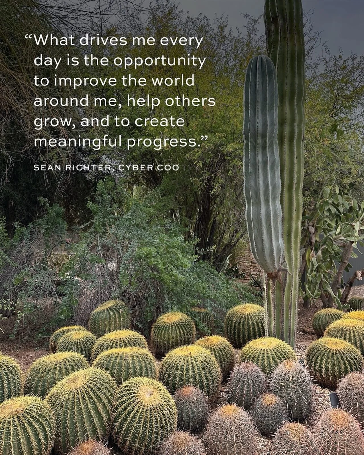 ✨ Our people are truly our magic. ✨