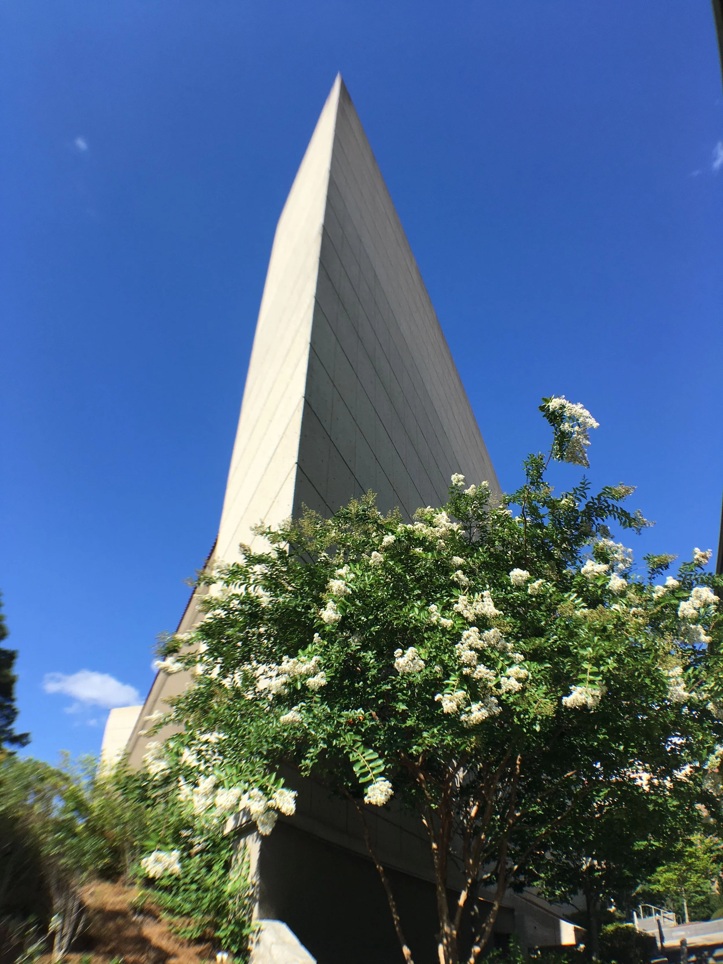 Triangular building with concrete facade next to blooming white flowers and greenery under clear blue sky.