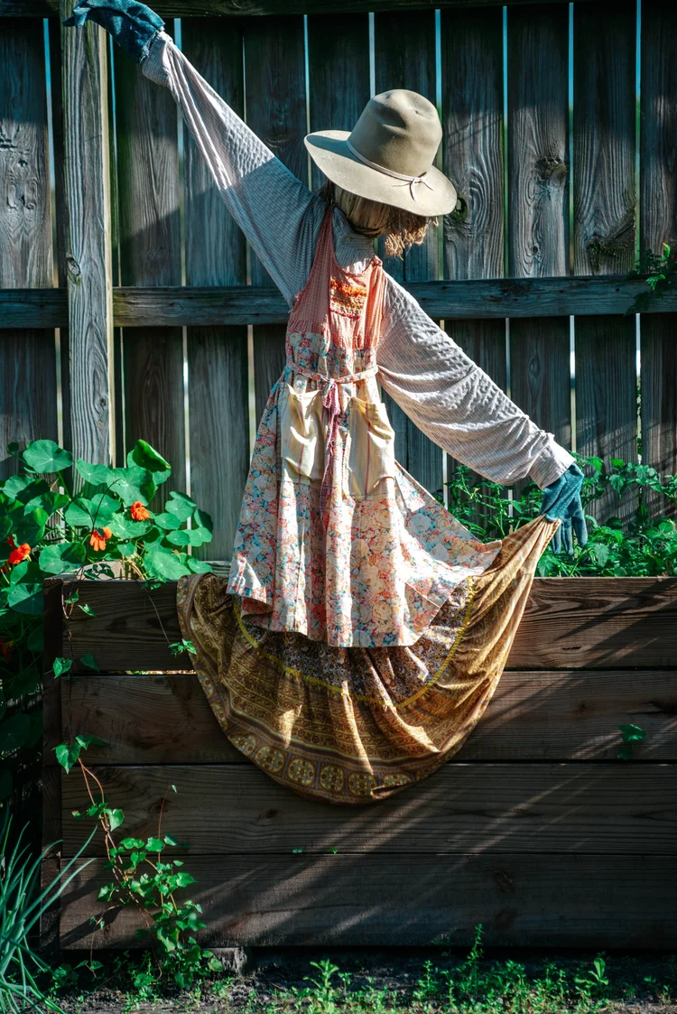 Contact — Cracker Country