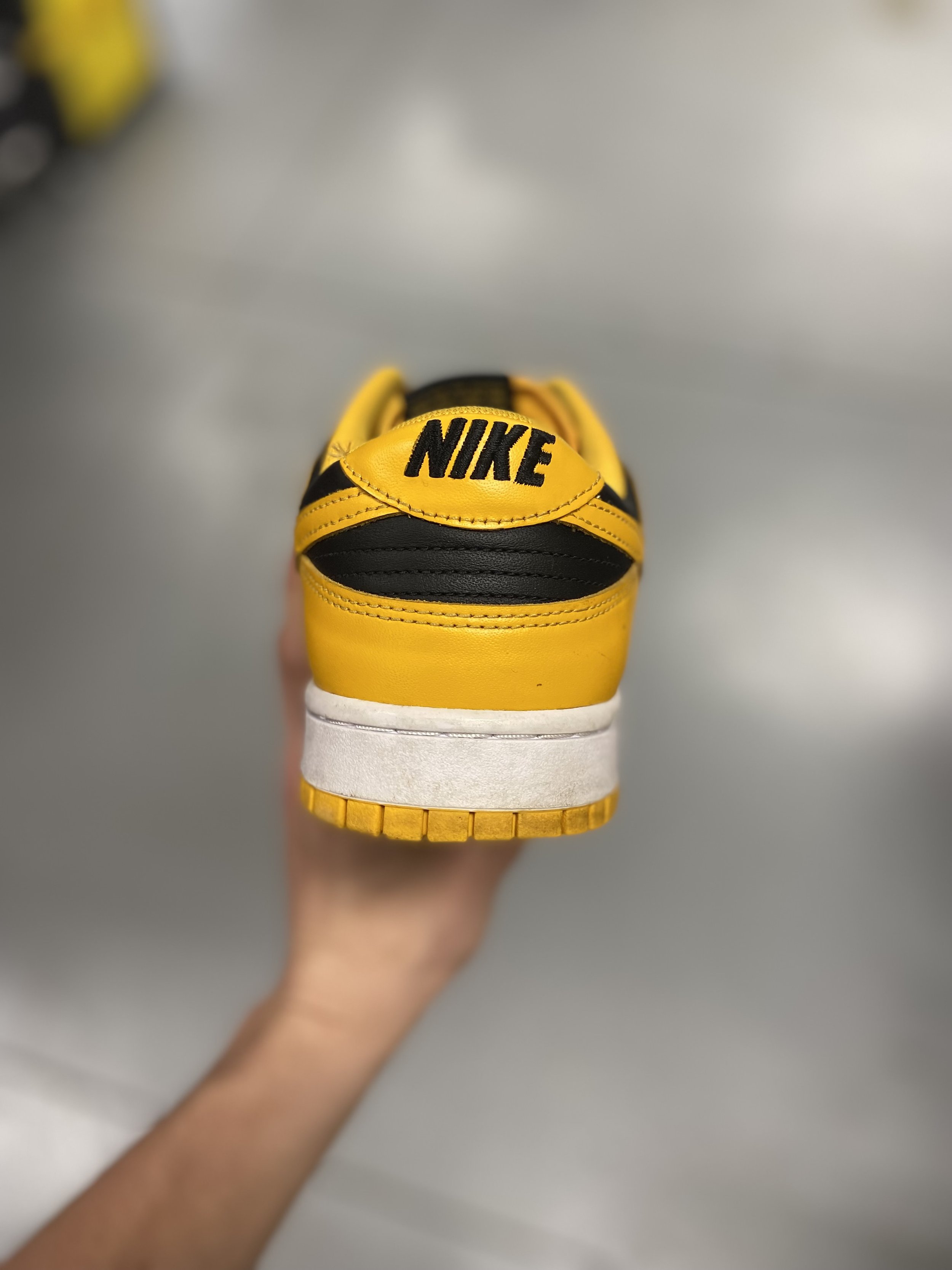IMG_5401.jpeg