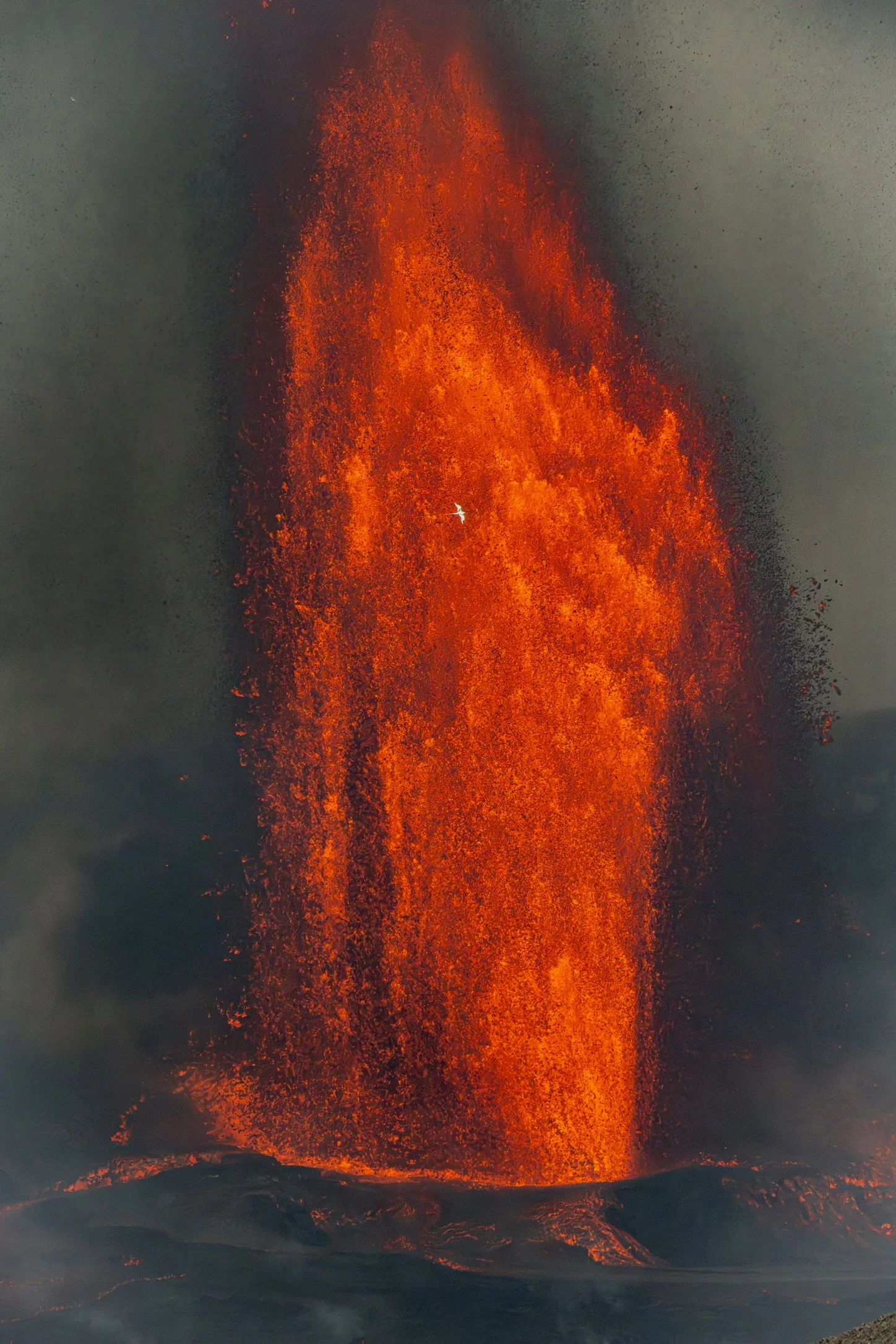 Fire and Light