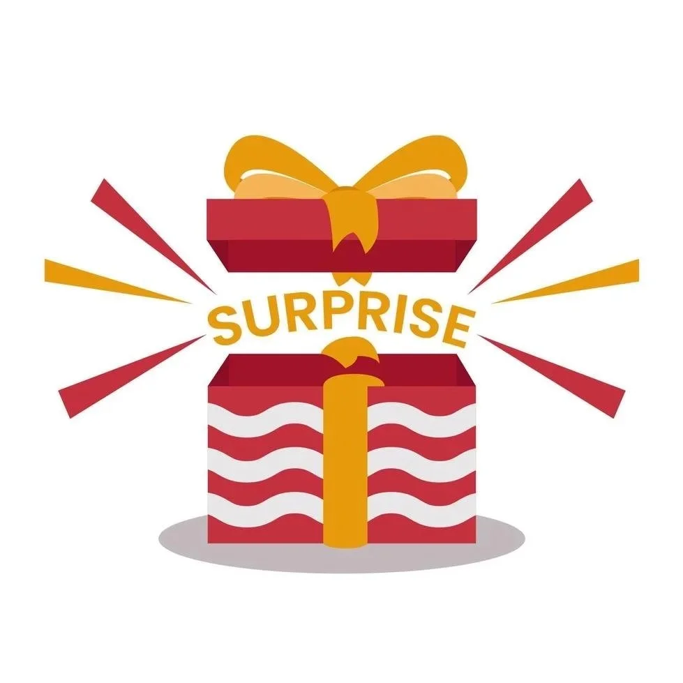 6-Month Surprise Print Subscription