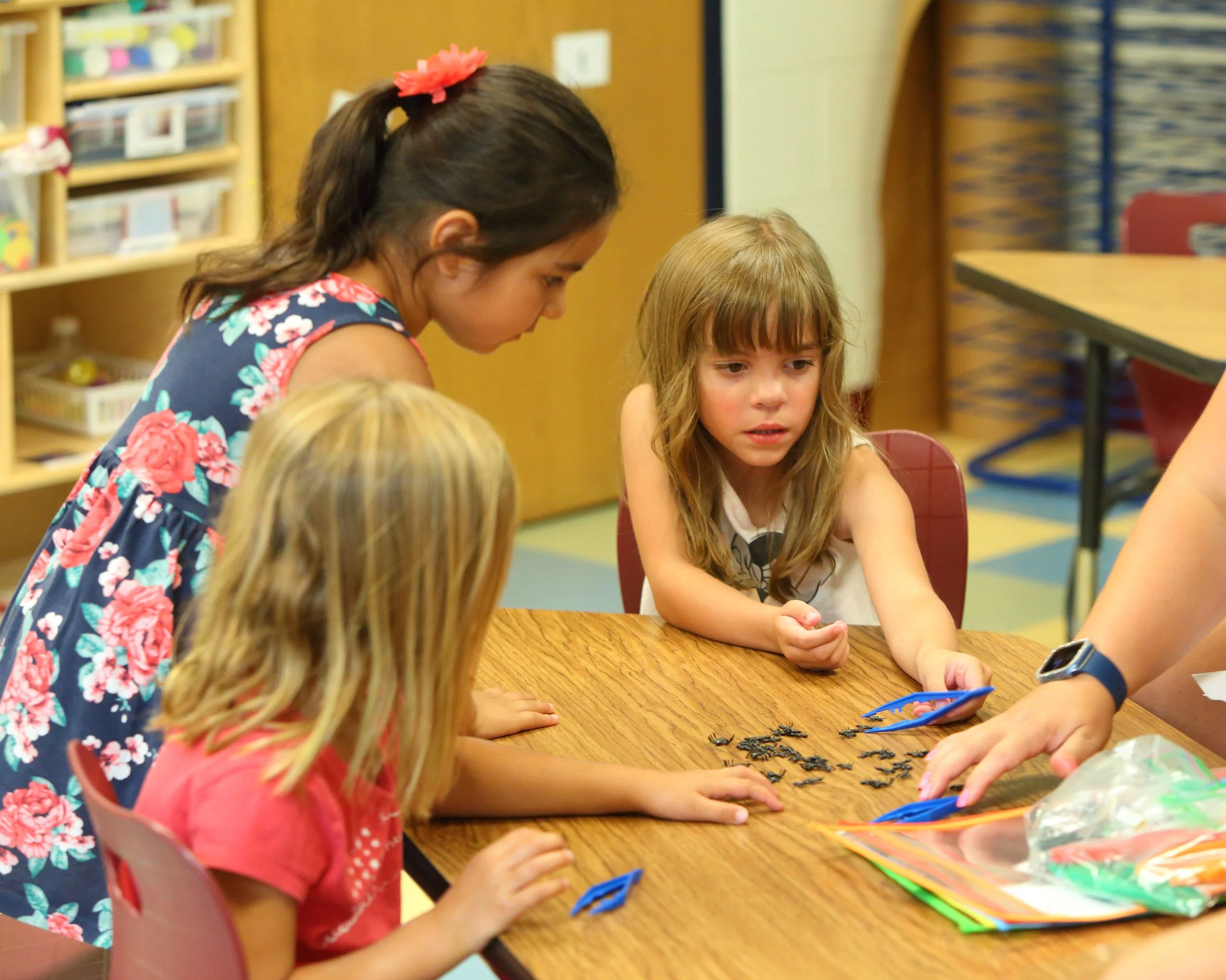 Three young girls sitting at a table, looking at small black toys or objects, with a person showing them with a pair of blue tongs, in a classroom or activity room.