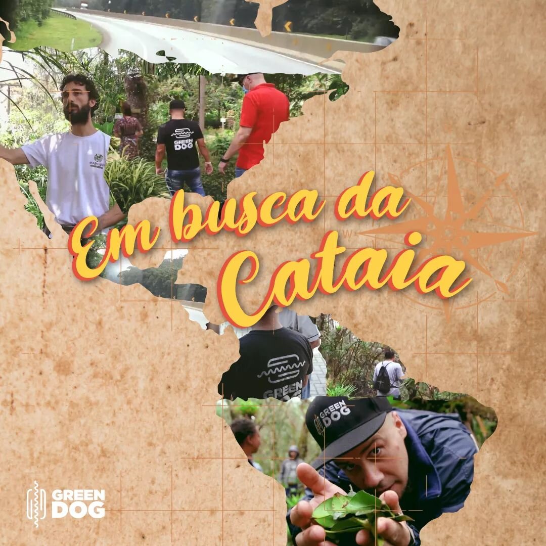 J&aacute; conferiu essa Trip irada que fizemos em busca dos ingredientes do NARAPA?

Ainda n&atilde;o? Ent&atilde;o confira essa aventura no link abaixo ou acesse o canal VISIONS no youtube!

https://youtu.be/FD4suKv2kvY

TRIP NARAPA - Visions

#Hotd