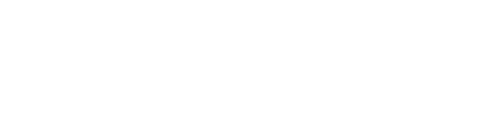 Hire a Shadow Coach — Shadow Coaches