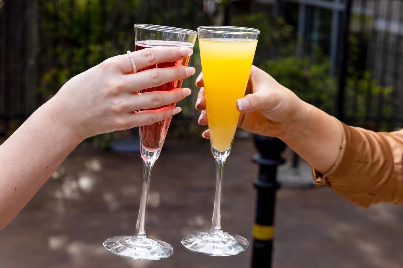 Treat Mom to Mother&rsquo;s Day brunch at Half Shell. ✨🥂 Sunday Brunch starts at 10:30AM tomorrow! 

View our brunch + dinner menus at halfshelloysterhouse.com. 

#HalfShellOysterHouse #MothersDayBrunch #HapyMothersDay #Brunch #Mimosas #BloodyMarys 