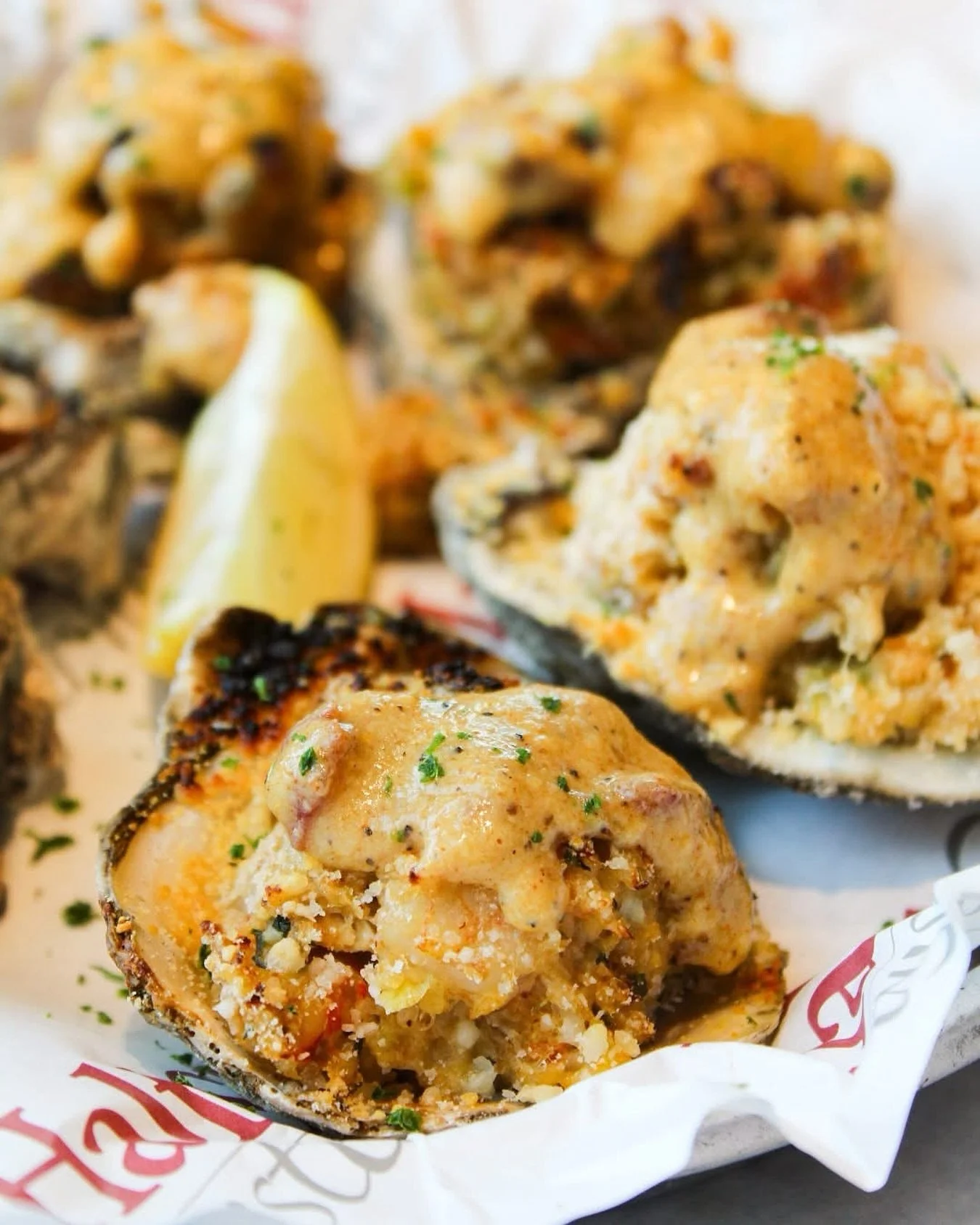 Fresh from the Gulf, baked with seafood stuffing, and topped with love. These Creole Harvest Oysters taste like fall in every bite. 🦪

#HalfShellOysterHouse #OurFallFavorites