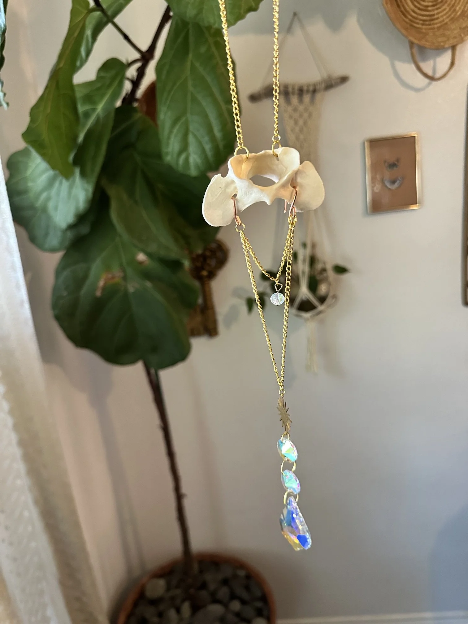 Natural Vertebrae Bone Crystal Suncatcher
