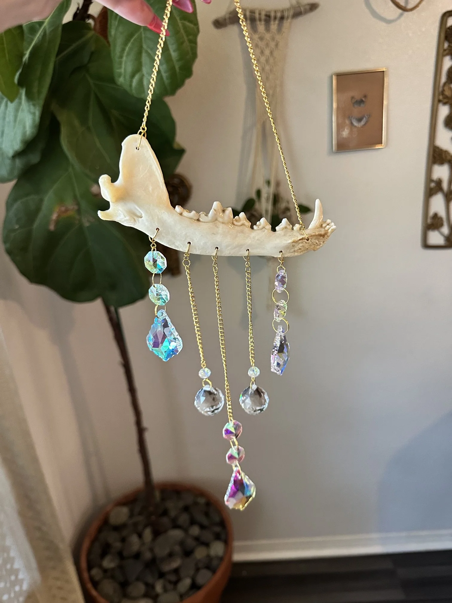 Natural Jaw Bone Crystal Suncatcher