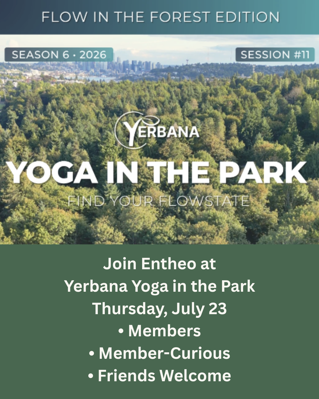 Entheo In The Wild: Yerbana Yoga in the Forest