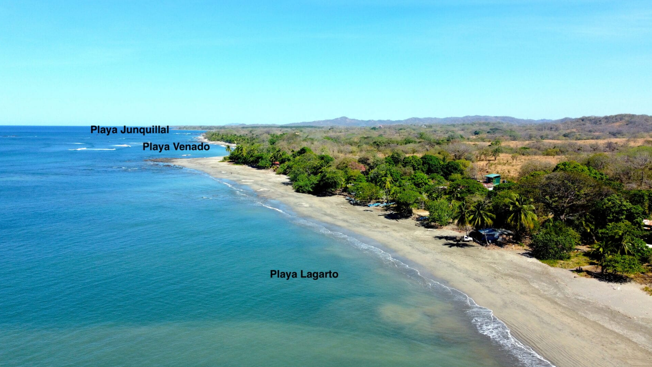 Lagarto Beach.png