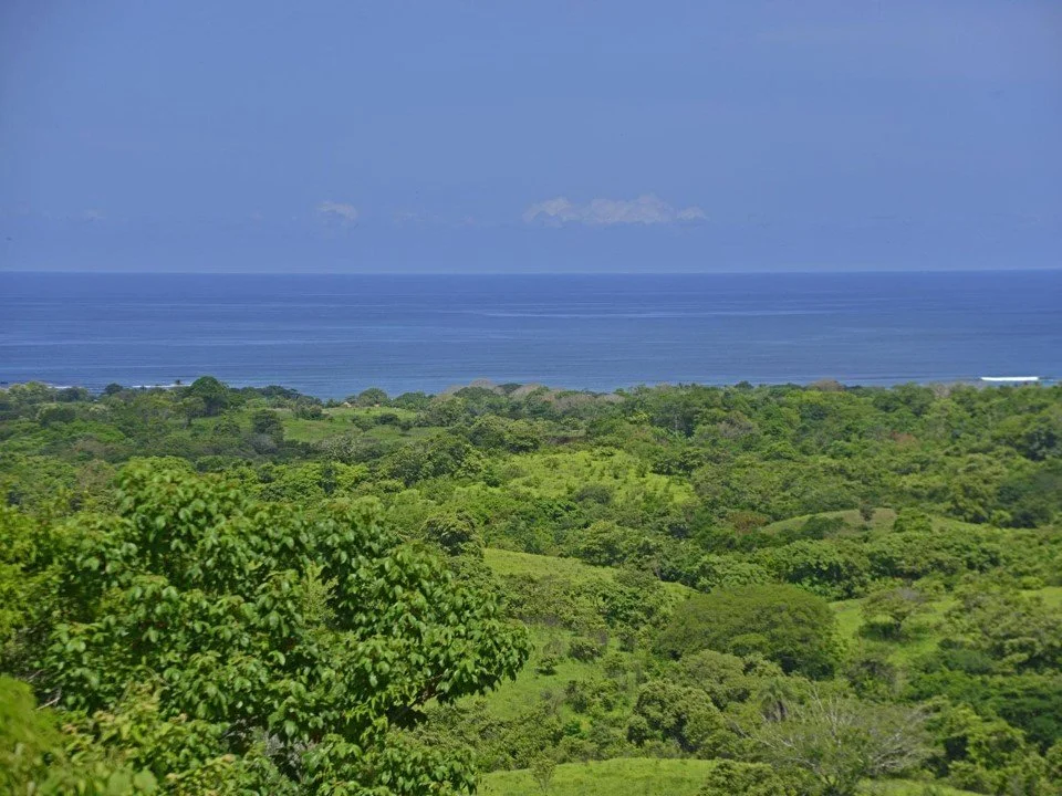 Picture1.jpg