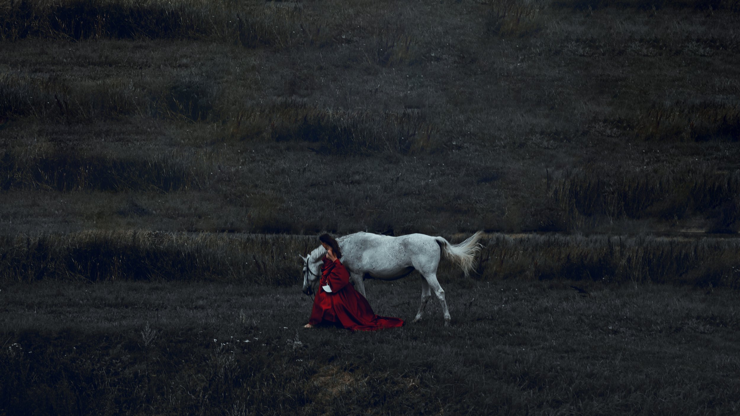 The White Horse