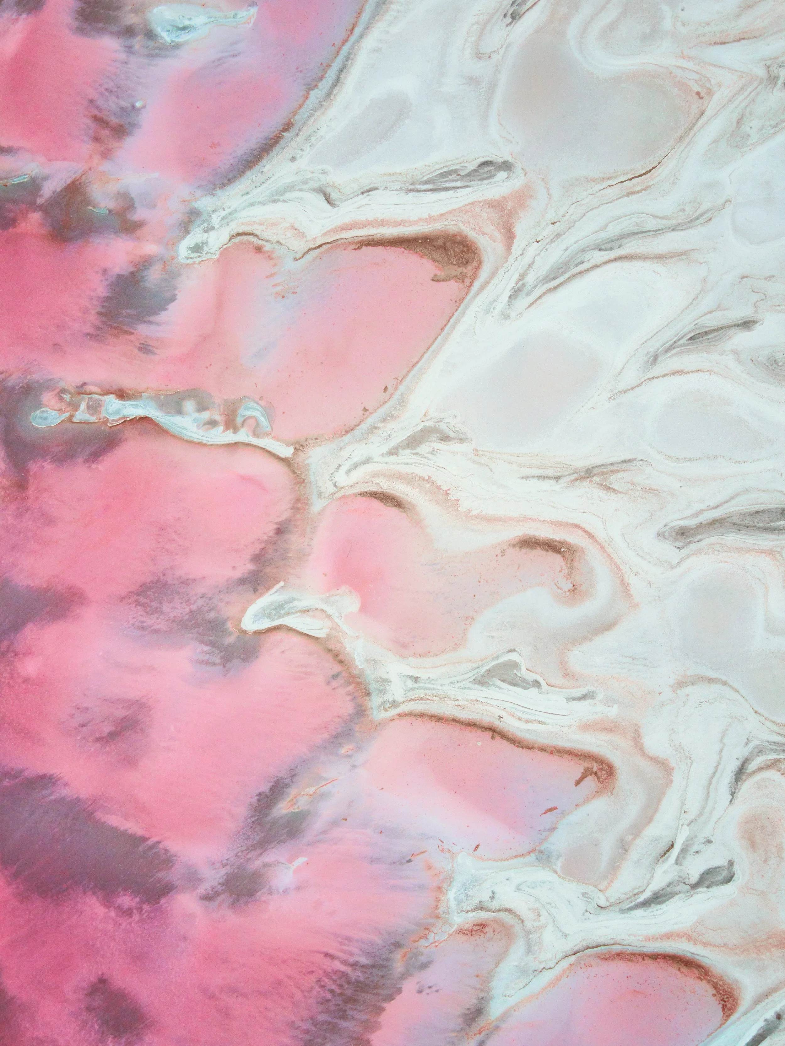 SALTFLATS_PINK_AERIAL.jpg