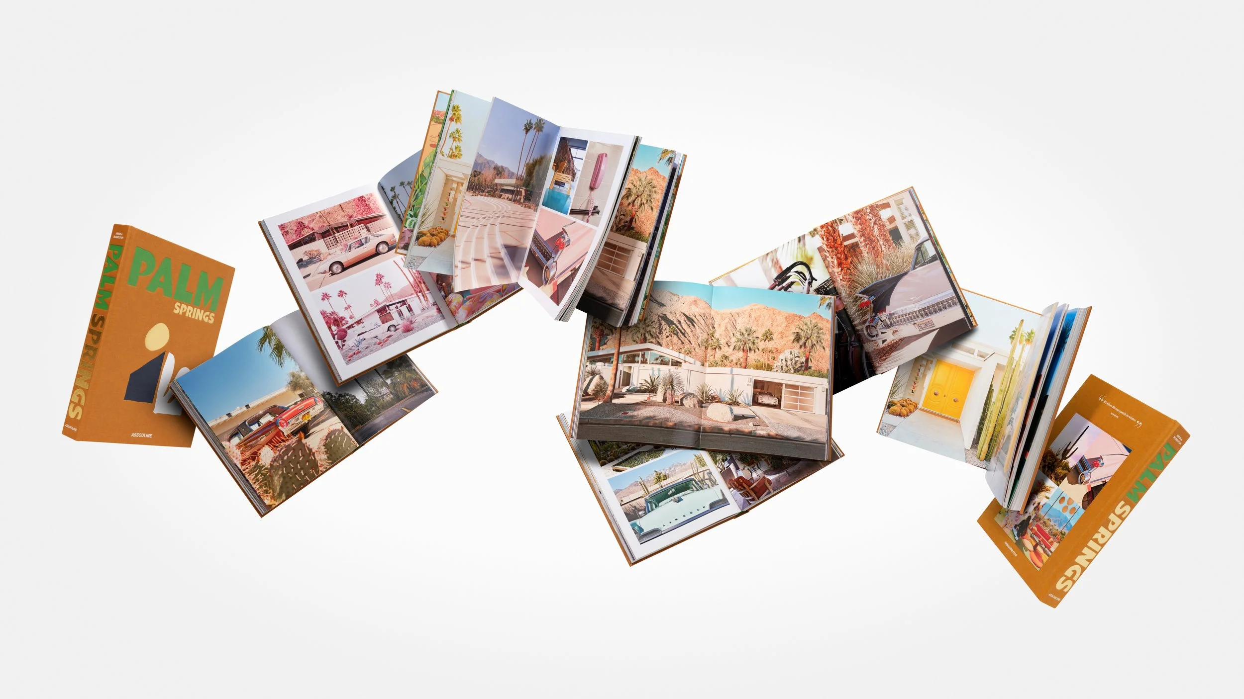 ASSOULINE PS _FLOAT SM.jpg