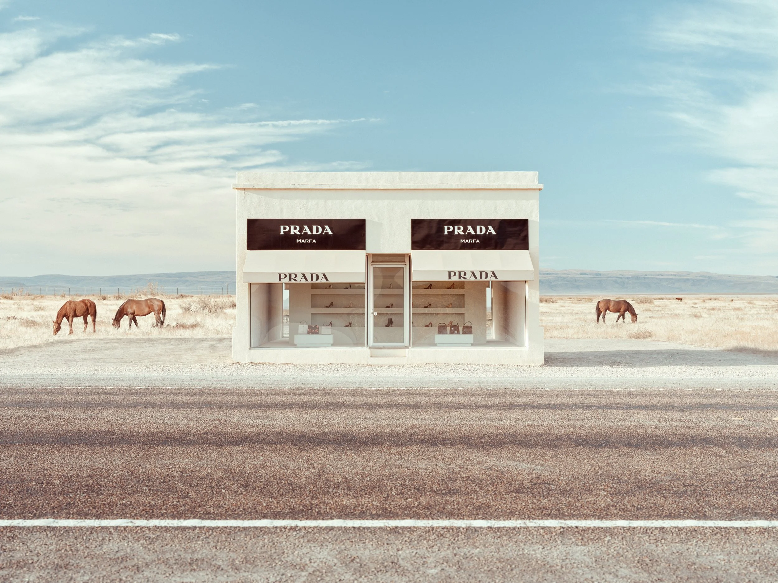 WEB_MARFA_HORSEDREAM_S4W_PRINTSHARPENED copy.jpg