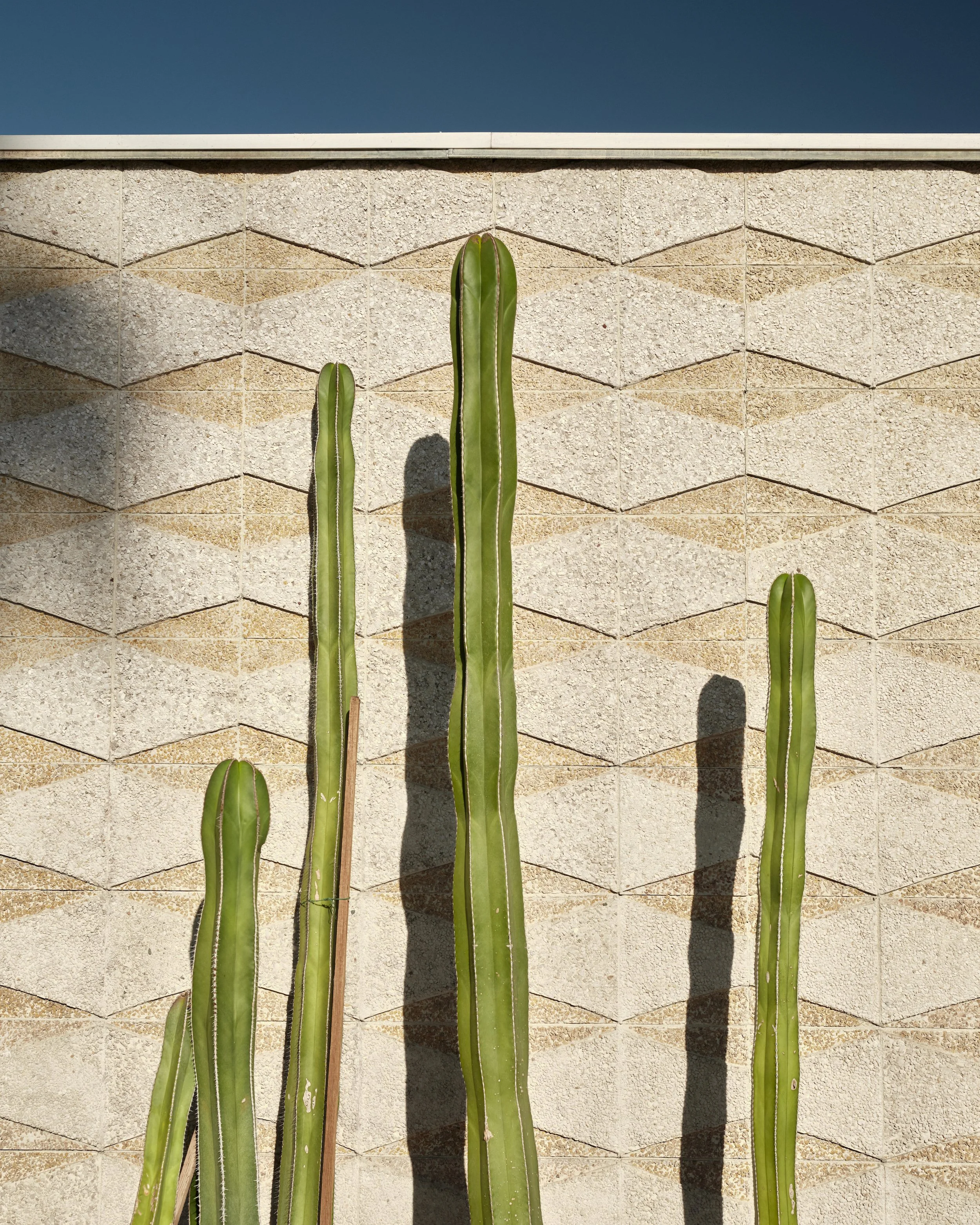 palmsprings22.jpg